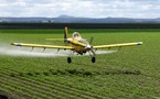 Tunisie: Crash d'un avion d'épandage agricole